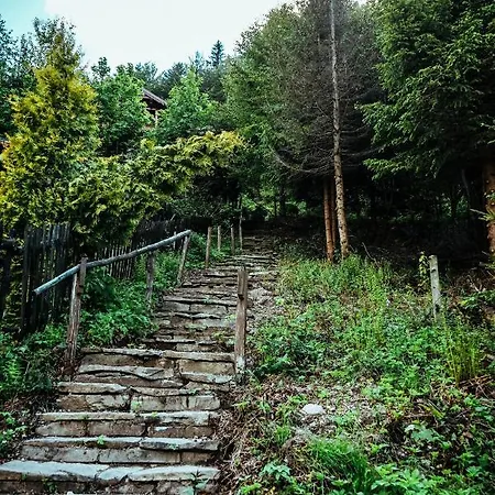 Вілла Chill On Hill - Щирк Екстер'єр фото