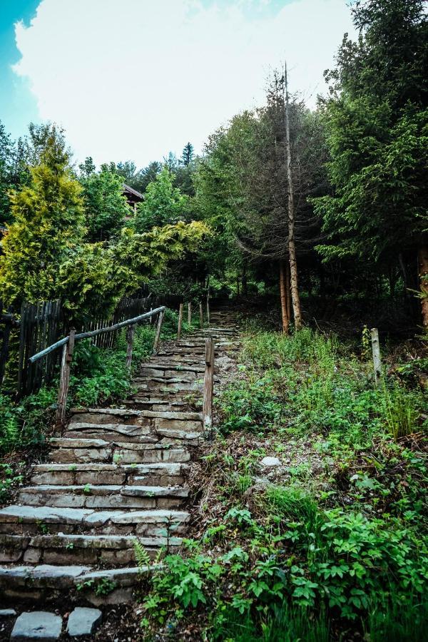 Chill On Hill - Ferienhaus Szczyrk